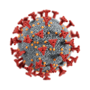 coronavirus